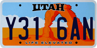 UT license plate Y316AN