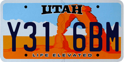 UT license plate Y316BM