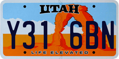 UT license plate Y316BN