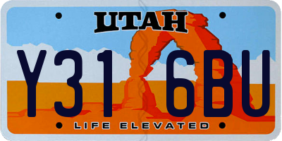 UT license plate Y316BU