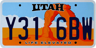 UT license plate Y316BW