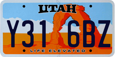 UT license plate Y316BZ