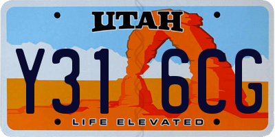 UT license plate Y316CG