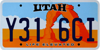 UT license plate Y316CI
