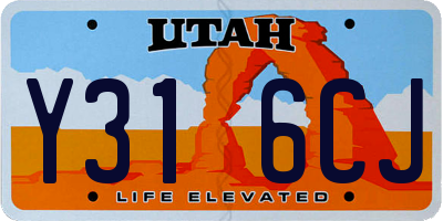 UT license plate Y316CJ