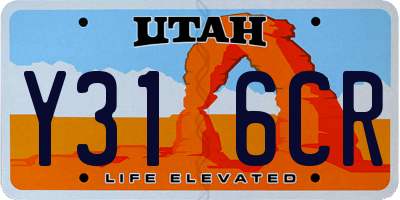 UT license plate Y316CR