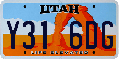 UT license plate Y316DG