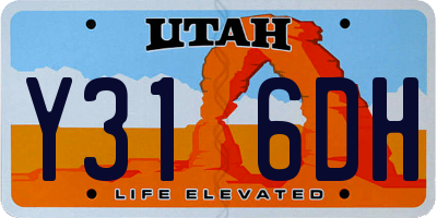 UT license plate Y316DH