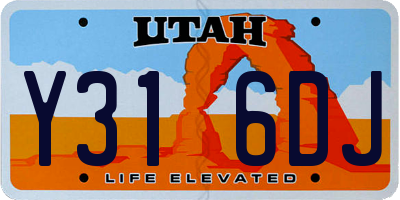 UT license plate Y316DJ