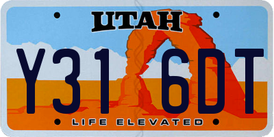 UT license plate Y316DT