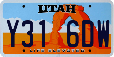 UT license plate Y316DW