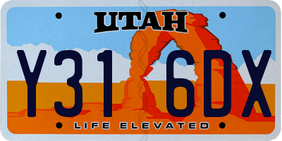 UT license plate Y316DX