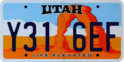 UT license plate Y316EF