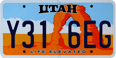 UT license plate Y316EG