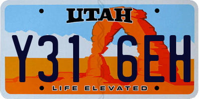 UT license plate Y316EH
