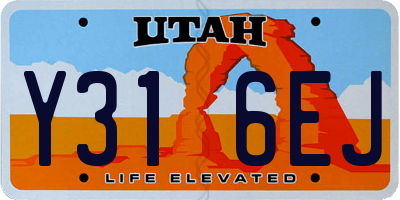 UT license plate Y316EJ