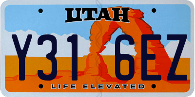 UT license plate Y316EZ