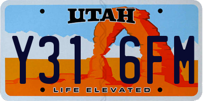 UT license plate Y316FM