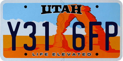 UT license plate Y316FP