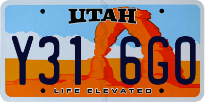 UT license plate Y316GO