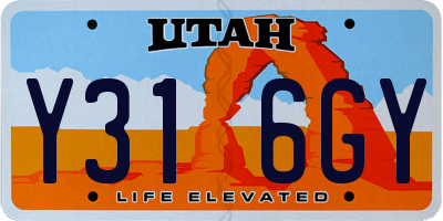 UT license plate Y316GY
