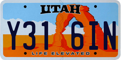 UT license plate Y316IN