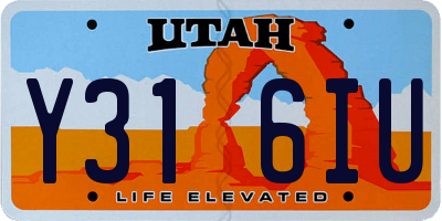 UT license plate Y316IU