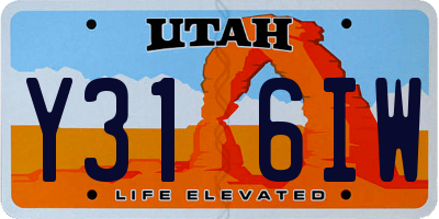 UT license plate Y316IW