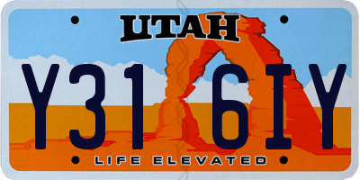UT license plate Y316IY