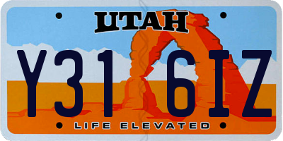 UT license plate Y316IZ