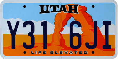 UT license plate Y316JI