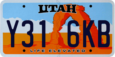 UT license plate Y316KB