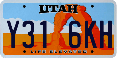UT license plate Y316KH