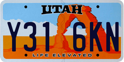 UT license plate Y316KN