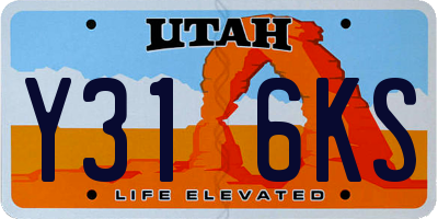 UT license plate Y316KS