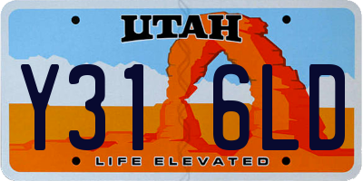 UT license plate Y316LD