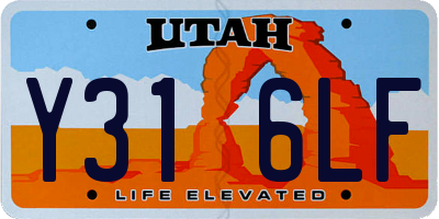 UT license plate Y316LF