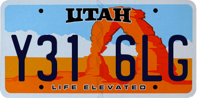 UT license plate Y316LG