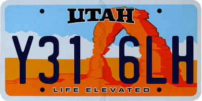 UT license plate Y316LH