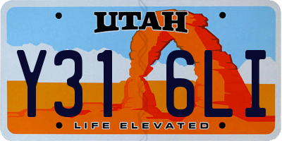 UT license plate Y316LI