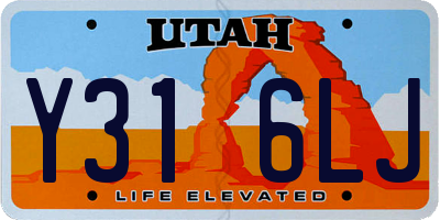 UT license plate Y316LJ