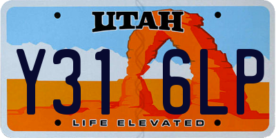 UT license plate Y316LP