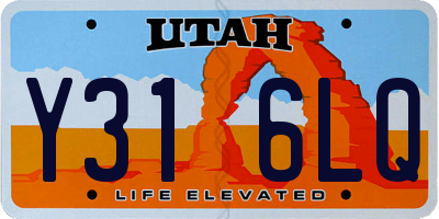 UT license plate Y316LQ