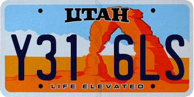 UT license plate Y316LS
