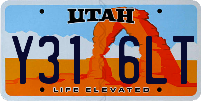 UT license plate Y316LT