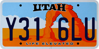 UT license plate Y316LU