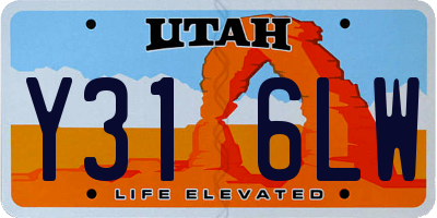 UT license plate Y316LW