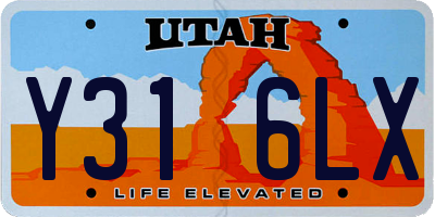 UT license plate Y316LX