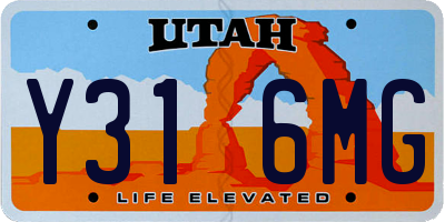UT license plate Y316MG