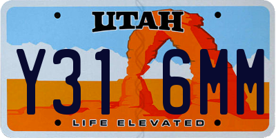 UT license plate Y316MM